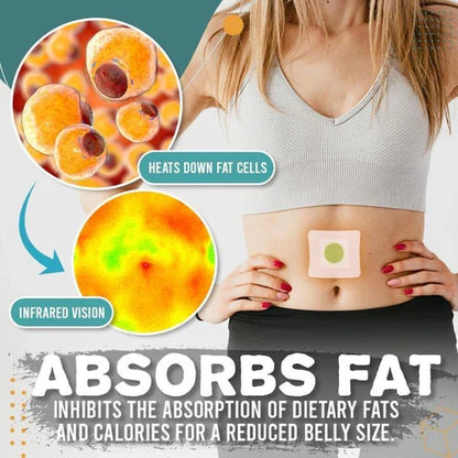 ERAYCEE Perfect Detox Slimming Patch（Limited Time Discount 🔥 Last Day）
