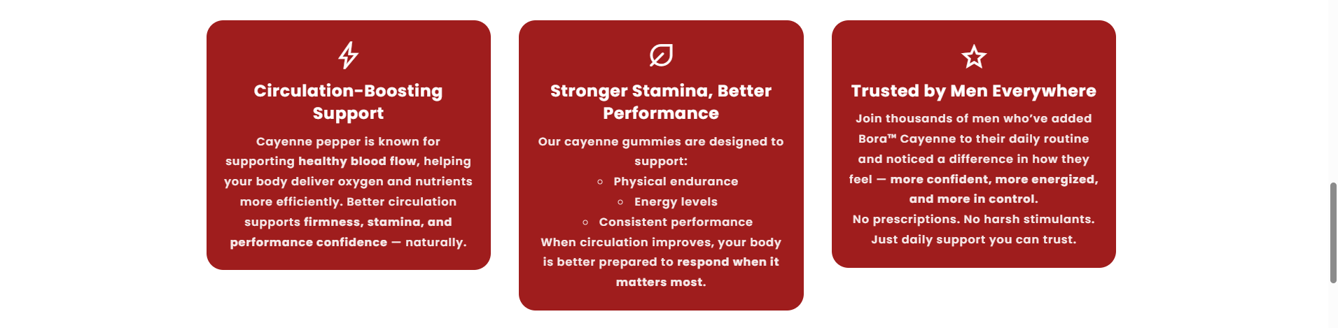 Bora Cayenne customer experience